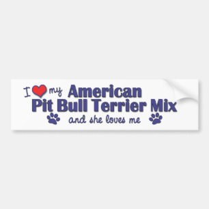 Pegatina Para Coche Ame mi mezcla americana de Terrier de pitbull (el