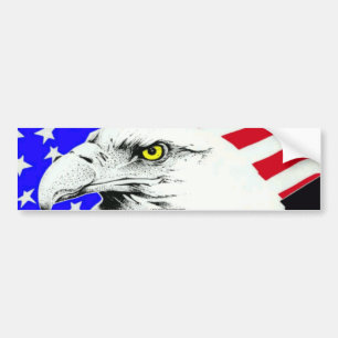 PEGATINA PARA COCHE AMERICAN EAGLE Y BANDERA