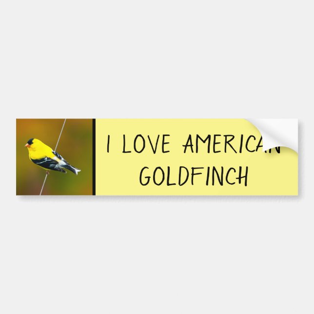 Pegatina Para Coche American Goldfinch - Fotografía original (Frente)
