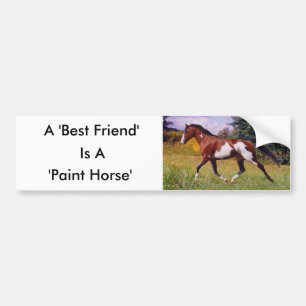 Pegatina Para Coche Amigo Paint Horse Bumper Sticker