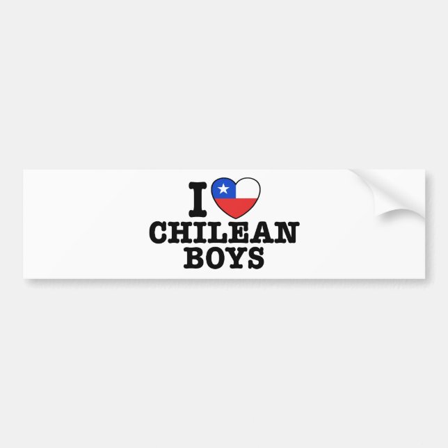 Pegatina Para Coche Amo a los niños chilenos (Frente)