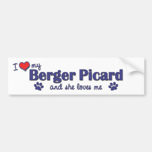Pegatina Para Coche Amo a mi Berger Picard (el perro femenino)