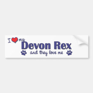 Pegatina Para Coche Amo a mi Devon Rex (los gatos múltiples)