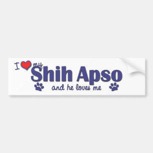 Pegatina Para Coche Amo a mi Shih Apso (el perro masculino)