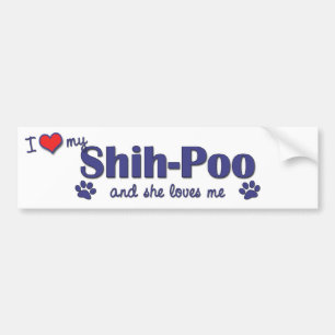 Pegatina Para Coche Amo a mi Shih-Poo (el perro femenino)