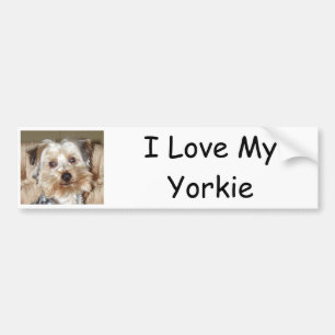 Pegatina Para Coche Amo a mi Yorkie
