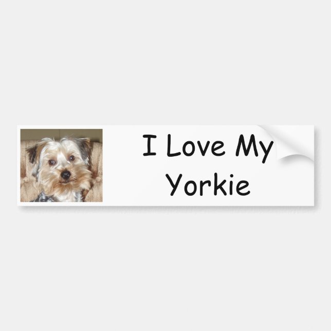 Pegatina Para Coche Amo a mi Yorkie (Frente)