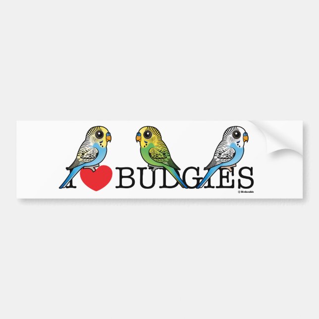 Pegatina Para Coche Amo Budgies (Frente)