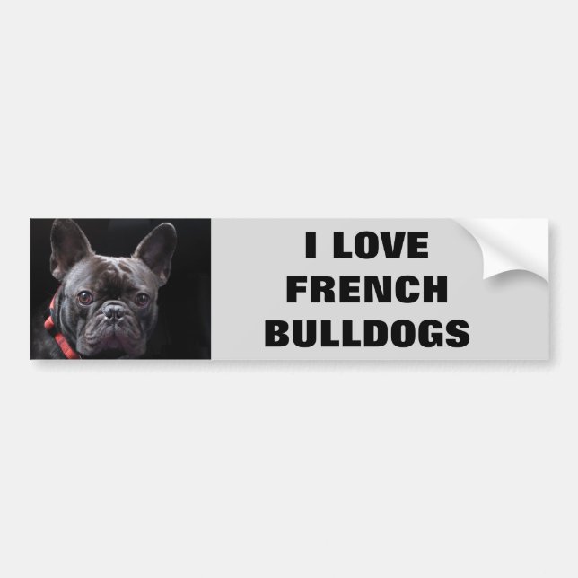 PEGATINA PARA COCHE AMO BULLDOGES FRANCESES (Frente)