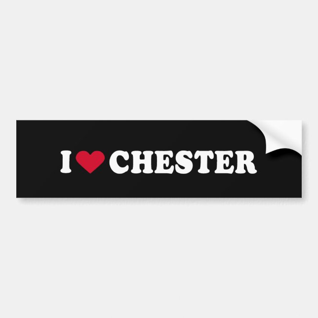 PEGATINA PARA COCHE AMO CHESTER (Frente)