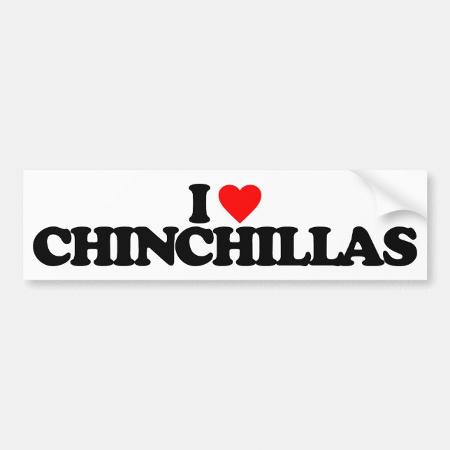 PEGATINA PARA COCHE AMO CHINCHILLAS (Frente)