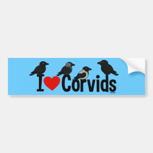 Pegatina Para Coche Amo Corvids