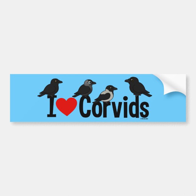 Pegatina Para Coche Amo Corvids (Frente)
