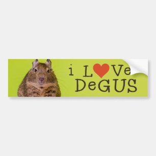 Pegatina Para Coche Amo Degus
