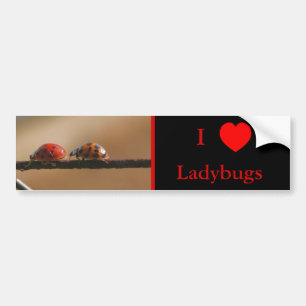 Pegatina Para Coche Amo el corazón Ladybugs Naturaleza 2