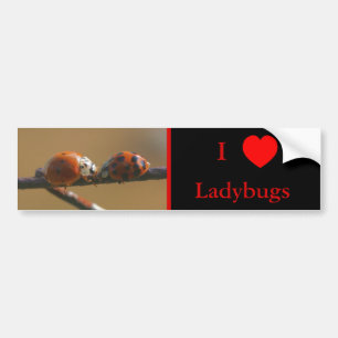Pegatina Para Coche Amo el corazón Ladybugs Naturaleza 3