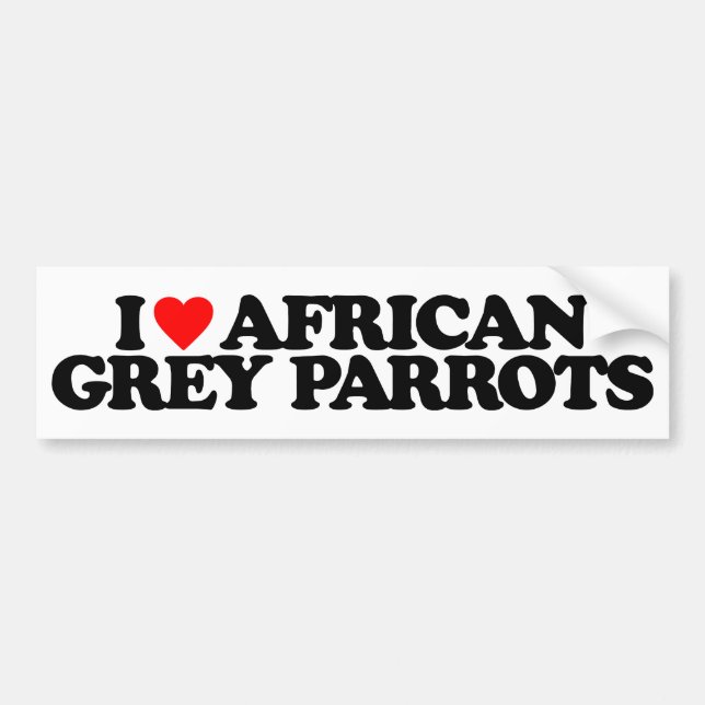 PEGATINA PARA COCHE AMO LOROS DEL GRIS AFRICANO (Frente)