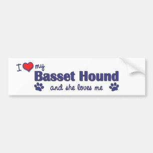 Pegatina Para Coche Amo mi Basset Hound (el perro femenino)