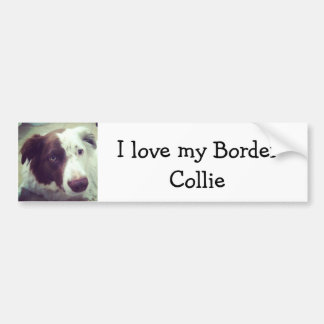 Pegatina Para Coche Amo mi border collie
