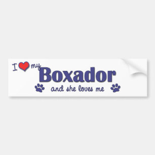Pegatina Para Coche Amo mi Boxador (el perro femenino)