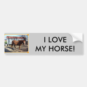 PEGATINA PARA COCHE ¡AMO MI CABALLO!