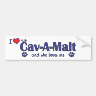 Pegatina Para Coche Amo mi Cav-UNO-Malta (el perro femenino)