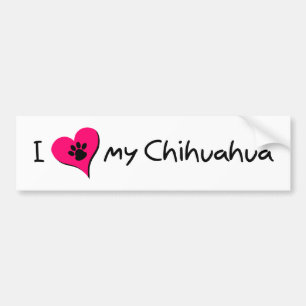 Pegatina Para Coche Amo mi Chihuahua