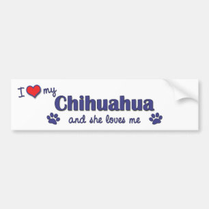 Pegatina Para Coche Amo mi chihuahua (el perro femenino)