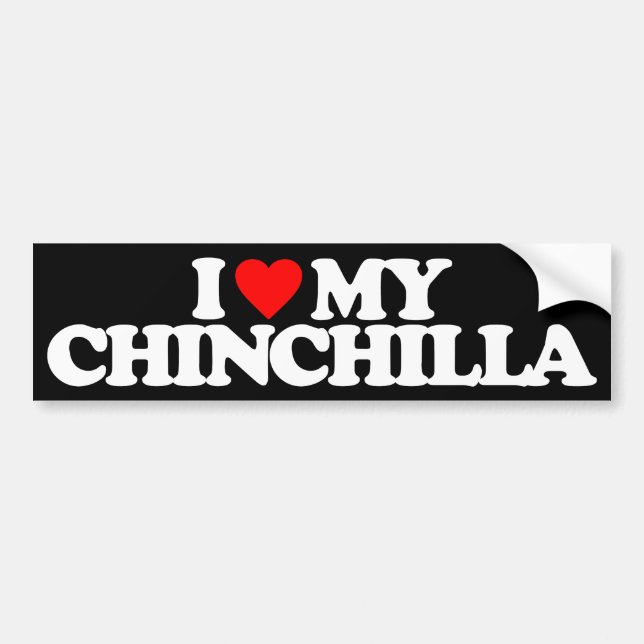 PEGATINA PARA COCHE AMO MI CHINCHILLA (Frente)