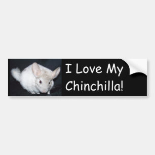 Pegatina Para Coche Amo mi chinchillah