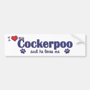 Pegatina Para Coche Amo mi Cockerpoo (el perro masculino)