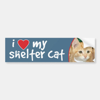Pegatina Para Coche Amo mi gatito del naranja del gato del refugio