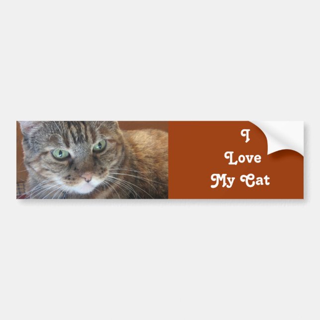 Pegatina Para Coche Amo   mi gato (Frente)