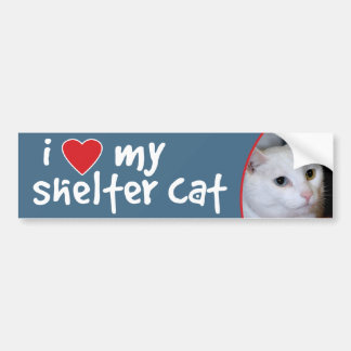 Pegatina Para Coche Amo mi gato Pegatina-Todo-Blanco de parachoques