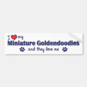 Pegatina Para Coche Amo mi Goldendoodles miniatura (los perros