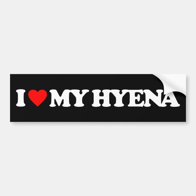 PEGATINA PARA COCHE AMO MI HYENA (Frente)