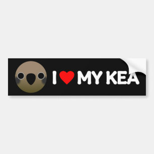 PEGATINA PARA COCHE AMO MI KEA