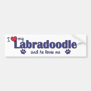 Pegatina Para Coche Amo mi Labradoodle (el perro masculino)