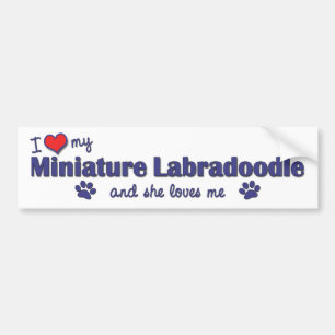 Pegatina Para Coche Amo mi Labradoodle miniatura (el perro femenino)