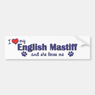 Pegatina Para Coche Amo mi mastín inglés (el perro femenino)