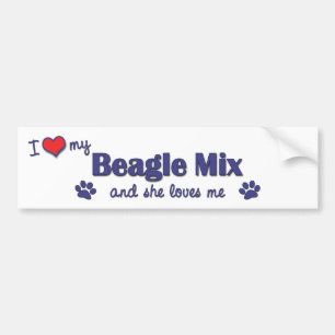 Pegatina Para Coche Amo mi mezcla del beagle (el perro femenino)