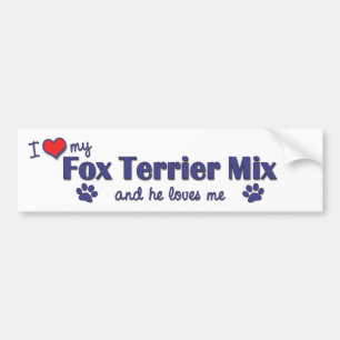 Pegatina Para Coche Amo mi mezcla del fox terrier (el perro masculino)