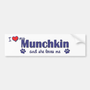 Pegatina Para Coche Amo mi Munchkin (el gato femenino)