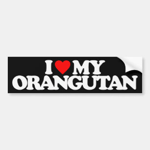 PEGATINA PARA COCHE AMO MI ORANGUTÁN