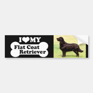 Pegatina Para Coche Amo mi perro perdiguero revestido plano