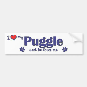 Pegatina Para Coche Amo mi Puggle (el perro masculino)