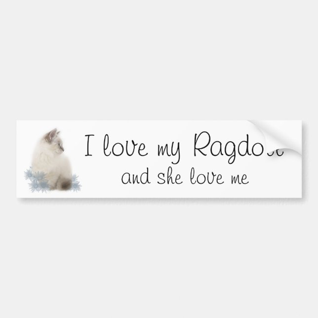 Pegatina Para Coche Amo mi ragdoll (Frente)