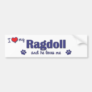 Pegatina Para Coche Amo mi Ragdoll (el gato masculino)