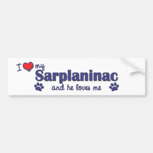 Pegatina Para Coche Amo mi Sarplaninac (el perro masculino)