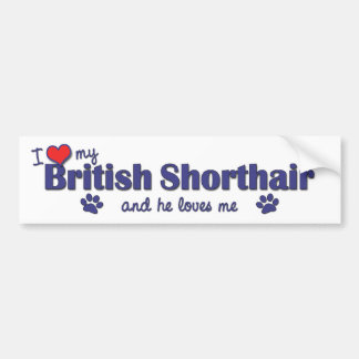 Pegatina Para Coche Amo mi Shorthair británico (el gato masculino)